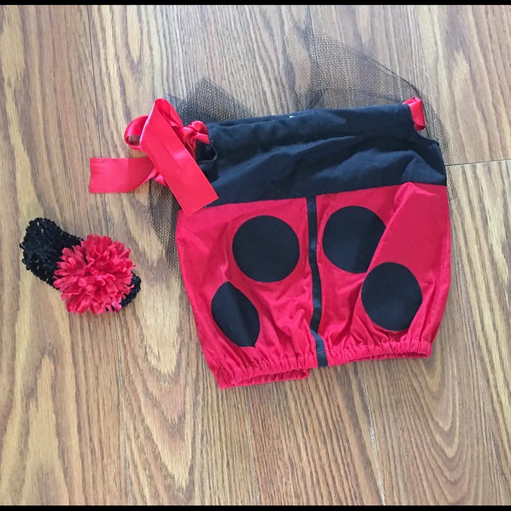 Baby girl ladybug Halloween costume